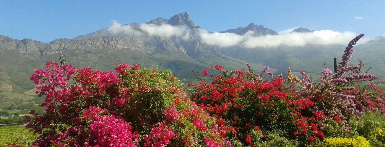 Exclusive 11-Day Cape Town, Garden Route and Karoo Tour with Safari