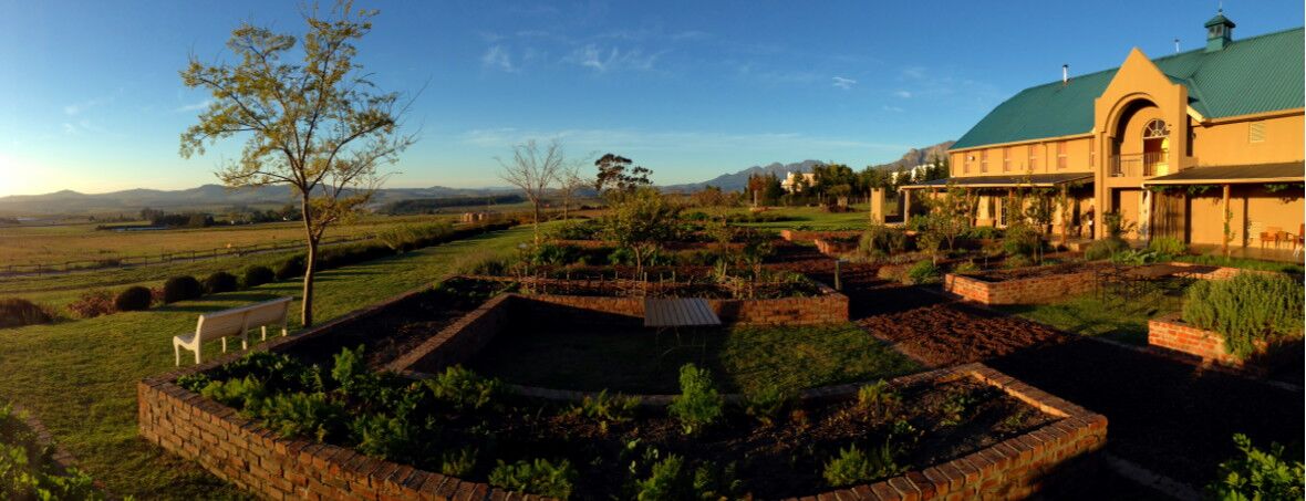 10-Day Wine and Gourmet Experience Trip South Africa