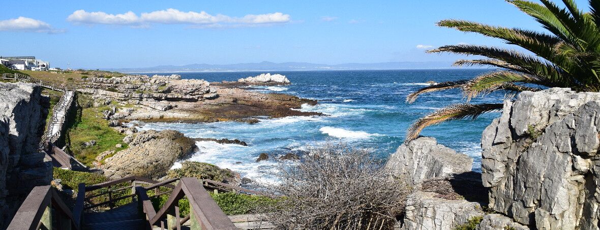 Exclusive 14-Day Tour: Cape Town, Garden Route and Stellenbosch
