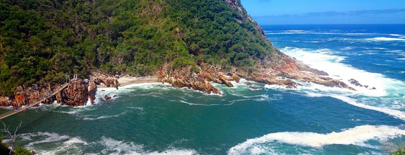 Wild wooded coastline with crashing waves